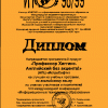 Диплом VIII конференции «Информационные технологии в образовании» 1998-1999 годы