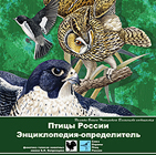 birds_sq